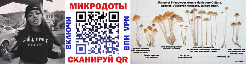 omg рабочий сайт  Никольское  Псилоцибиновые грибы Psilocybe 